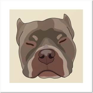 Sleepy Pitbull Posters and Art